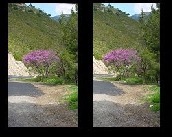image travaillée