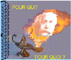 Pour qui pour quoi
